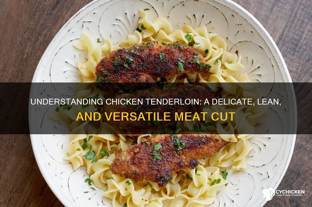 what kind of meat is chicken tenderloin
