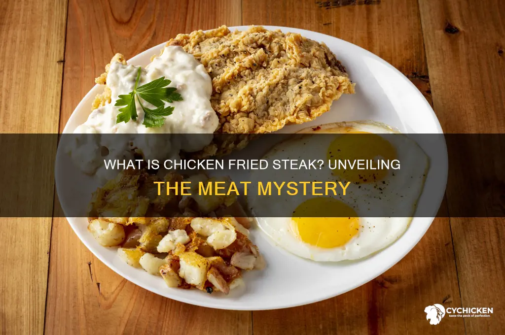 what kind of meat ois chicken ffried steak