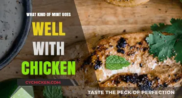 Perfect Mint Pairings: Enhancing Chicken Dishes with Fresh Herbs