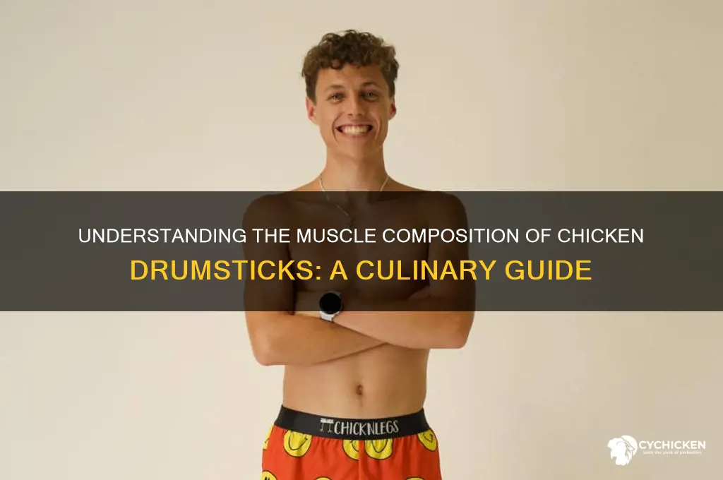 what kind of muscle is on chicken drumsticks