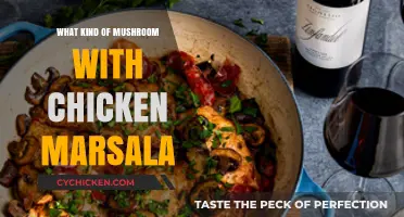 Perfect Mushroom Pairings for Chicken Marsala: A Culinary Guide