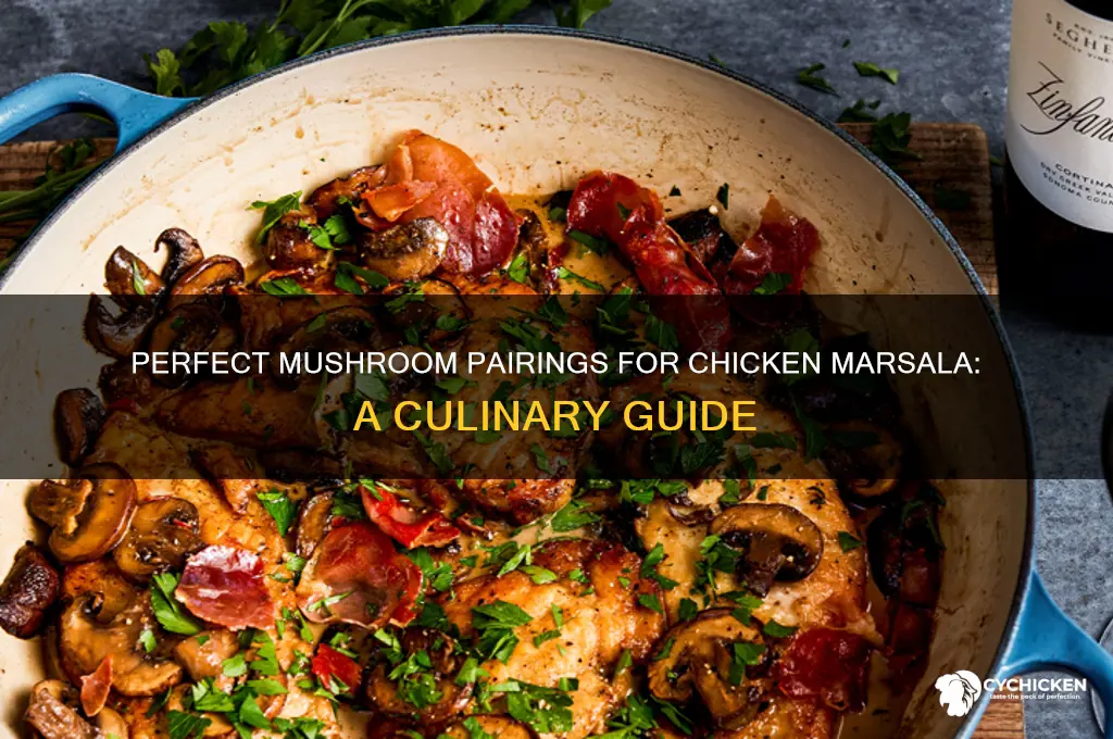 what kind of mushroom with chicken marsala