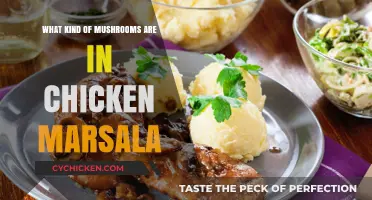 Exploring the Mushrooms in Chicken Marsala: A Culinary Guide