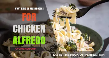 Best Mushroom Varieties to Elevate Your Creamy Chicken Alfredo Recipe