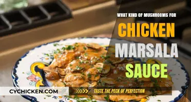 Perfect Mushrooms for Chicken Marsala Sauce: A Flavorful Guide