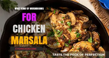 Perfect Mushrooms for Chicken Marsala: A Flavorful Guide to Choosing Right