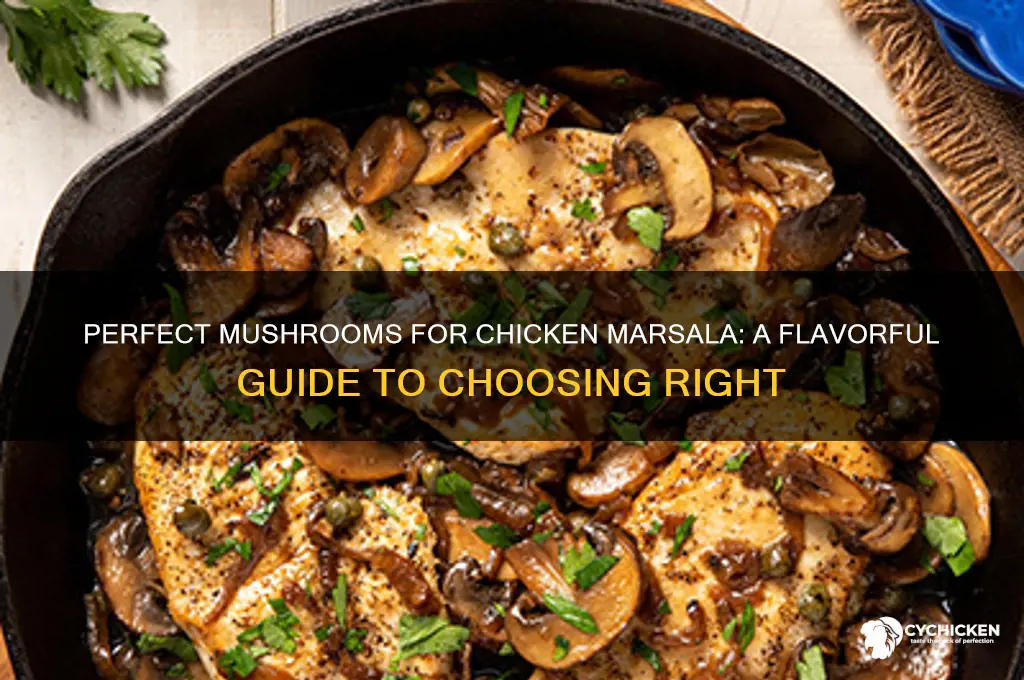what kind of mushrooms for chicken marsala