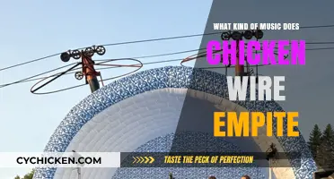 Unraveling Chicken Wire Empire's Eclectic Music Genre and Unique Sound