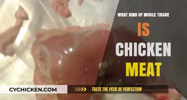 Understanding Chicken Meat: Exploring the Muscle Tissue Composition