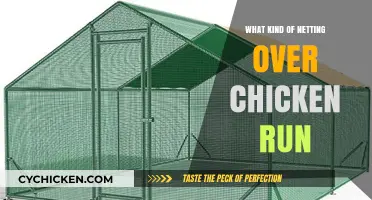 Best Netting Options to Protect Your Chicken Run Effectively