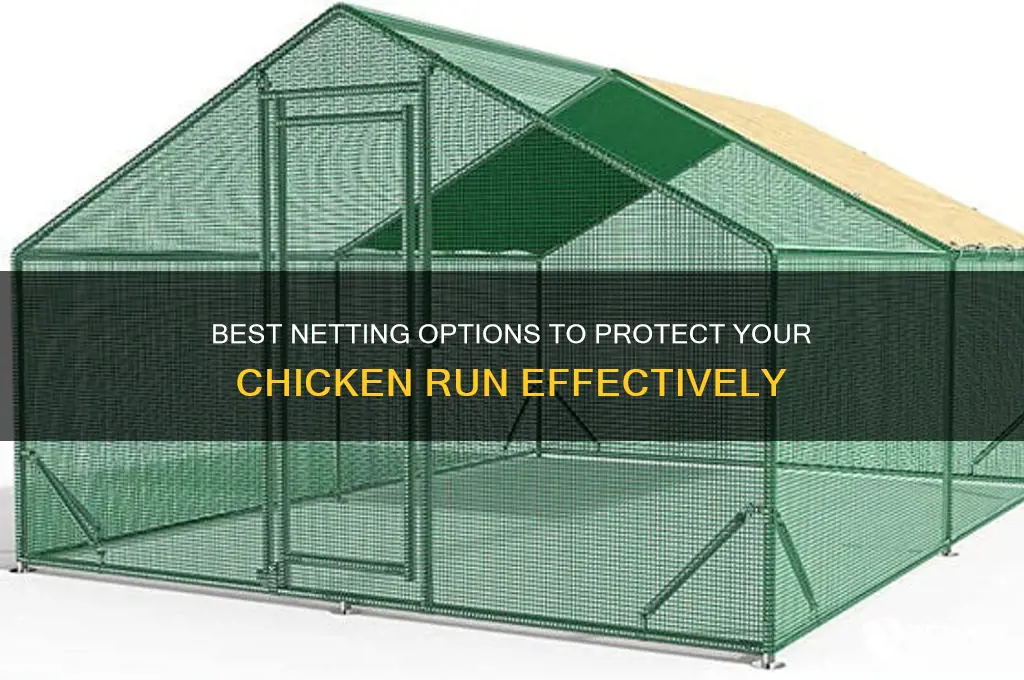 what kind of netting over chicken run
