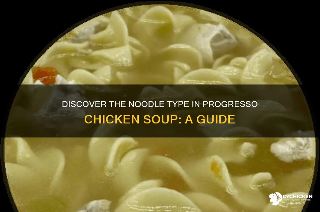 what kind of noodle are in progresso chicken