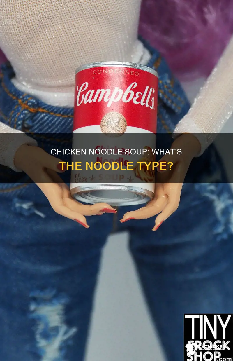 what kind of noodles are in campbells chicken noodle