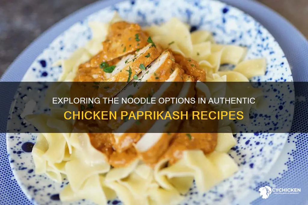 what kind of noodles are in chicken paprikash