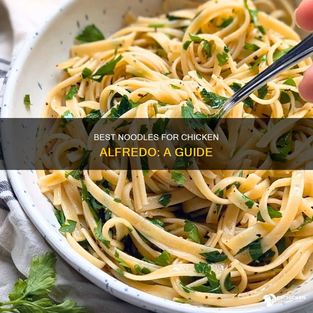 what kind of noodles do i need for chicken alfredo