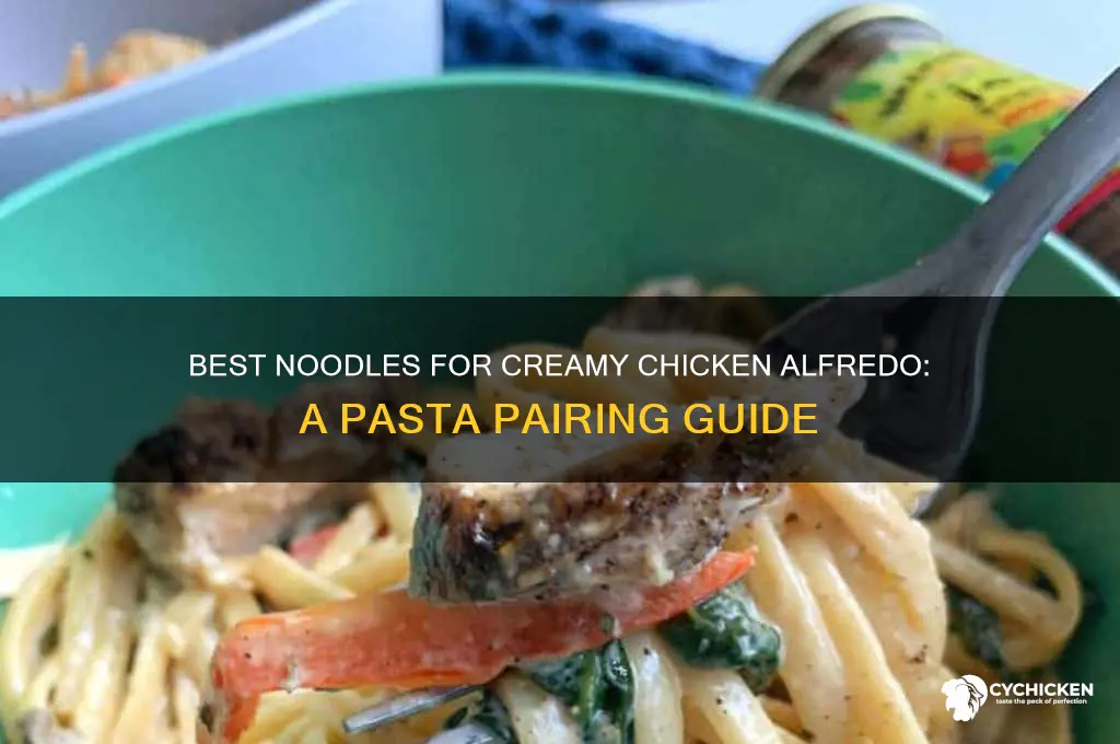 what kind of noodles for chicken alfredo