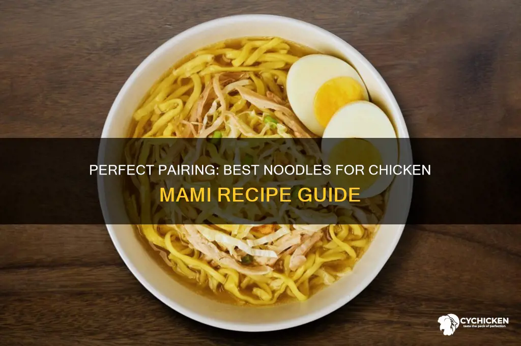 what kind of noodles for chicken mami