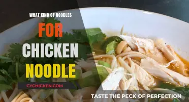 Perfect Chicken Noodle Soup: Best Noodle Types for Flavor and Texture