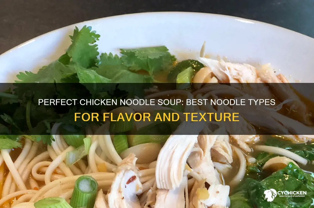 what kind of noodles for chicken noodle