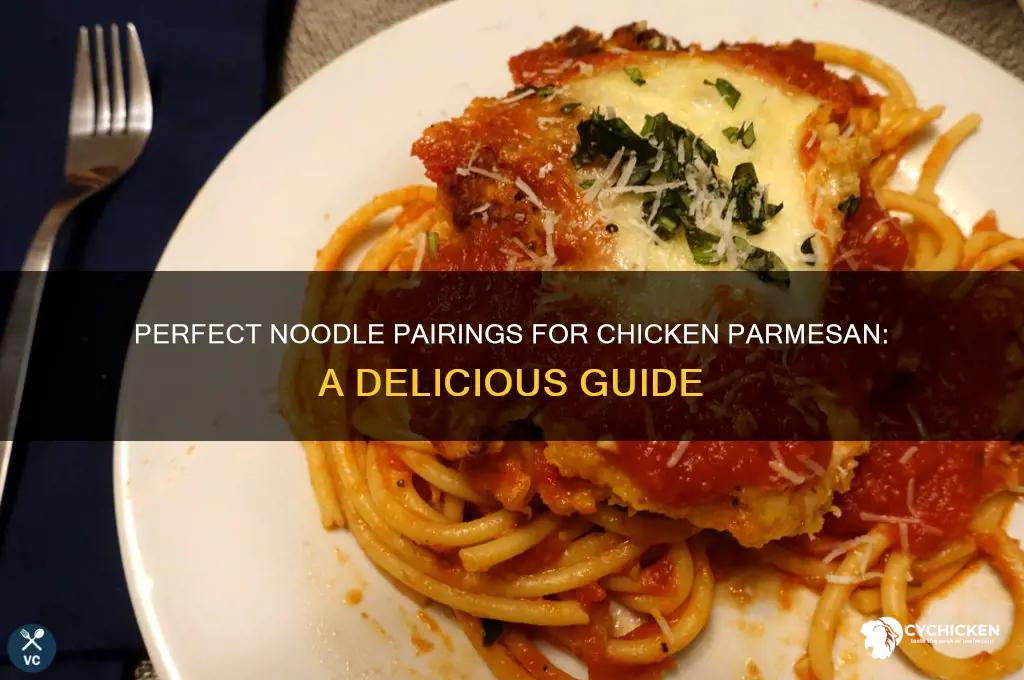 what kind of noodles for chicken parm