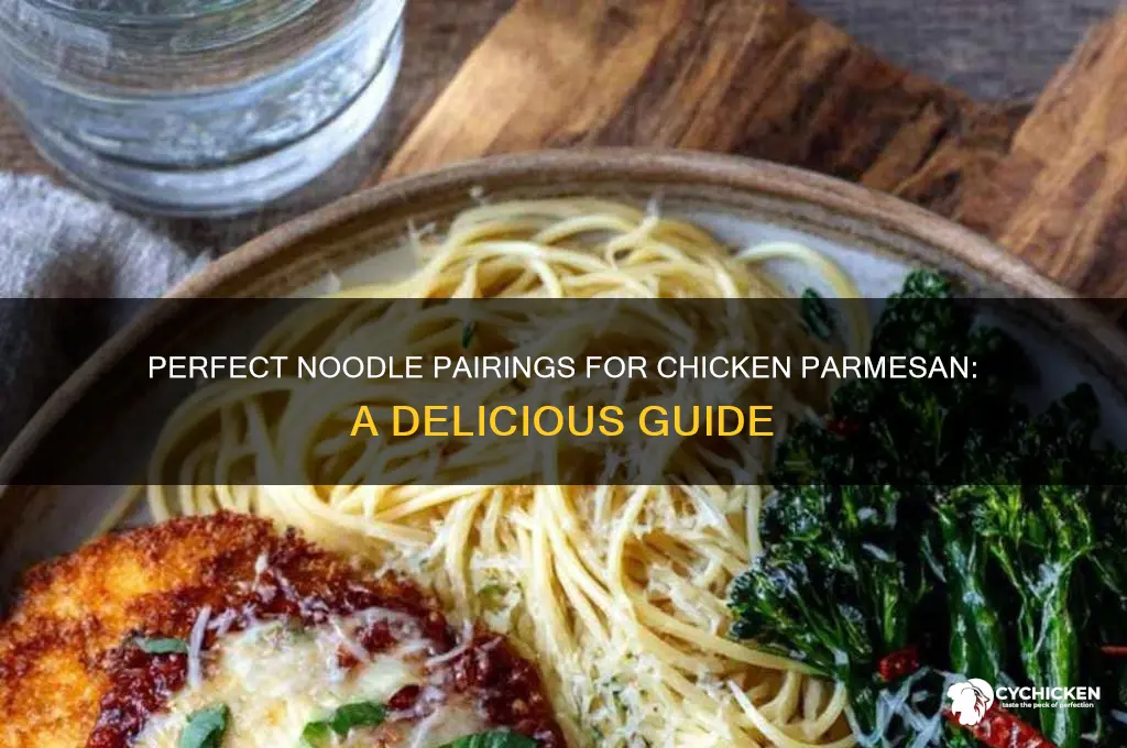 what kind of noodles for chicken parmesan