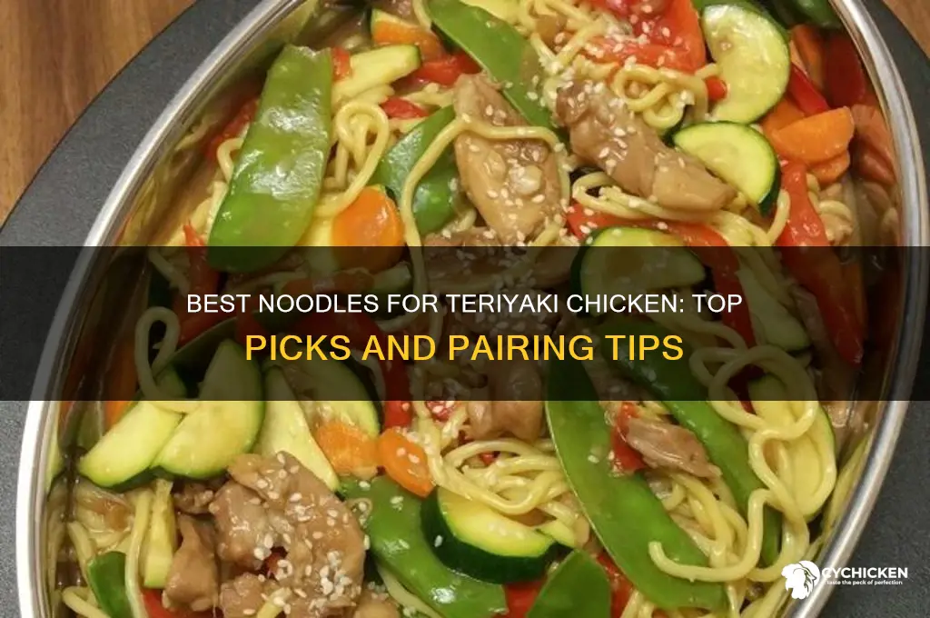 what kind of noodles for teriyaki chicken