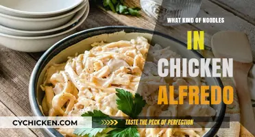 Exploring the Perfect Noodle Pairing for Classic Chicken Alfredo