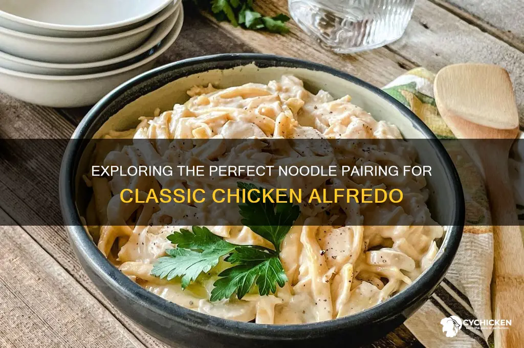 what kind of noodles in chicken alfredo