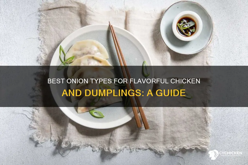 what kind of onion for chicken and dumplings