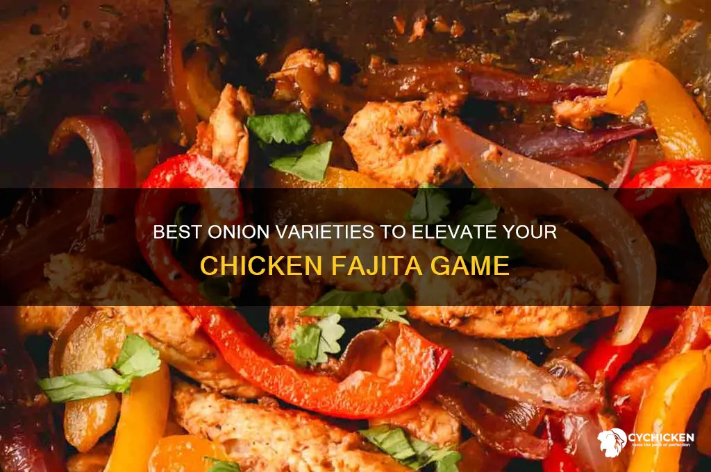 what kind of onion for chicken fajitas
