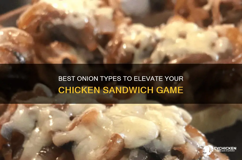 what kind of onion on chicken sandwich