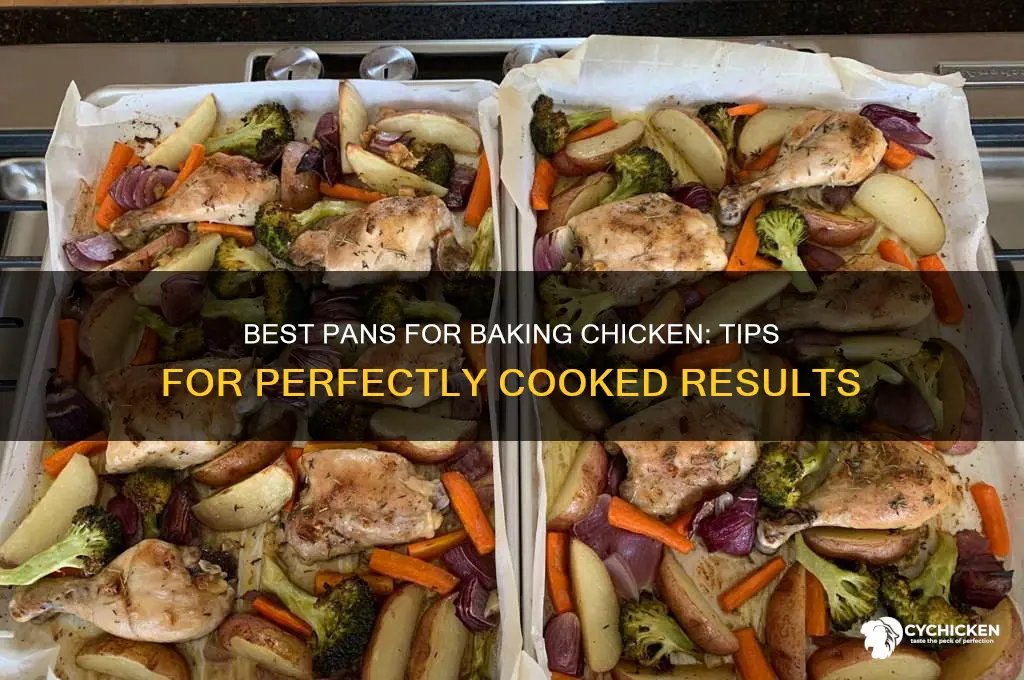 what kind of pan for baking chicken
