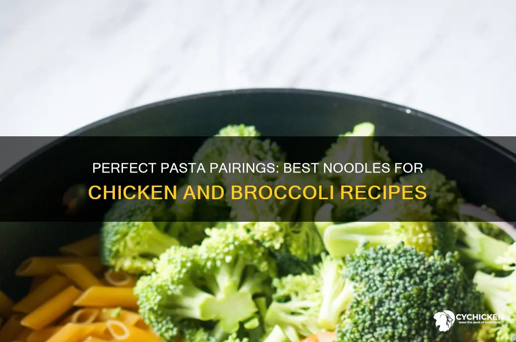 what kind of pasta for chicken and broccoli