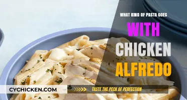 Perfect Pasta Pairings for Creamy Chicken Alfredo: Top Choices