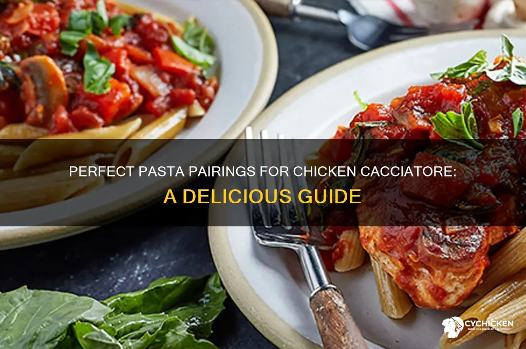 what kind of pasta goes with chicken cacciatore
