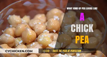 Pea or Chickpea? Discover the Look-Alike Legume Confusing Foodies