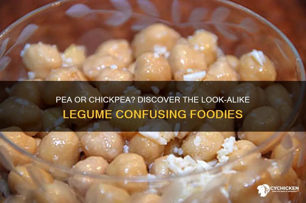 what kind of pea looks like a chick pea