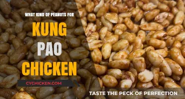 Perfect Peanuts for Kung Pao Chicken: Types and Tips for Crunchy Delight