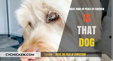 Chicken or Dog: What's the Difference?