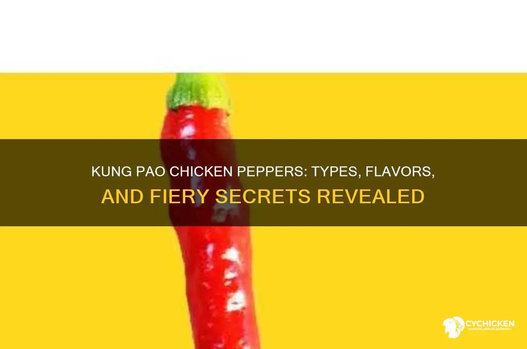 what kind of peppers in kung pao chicken