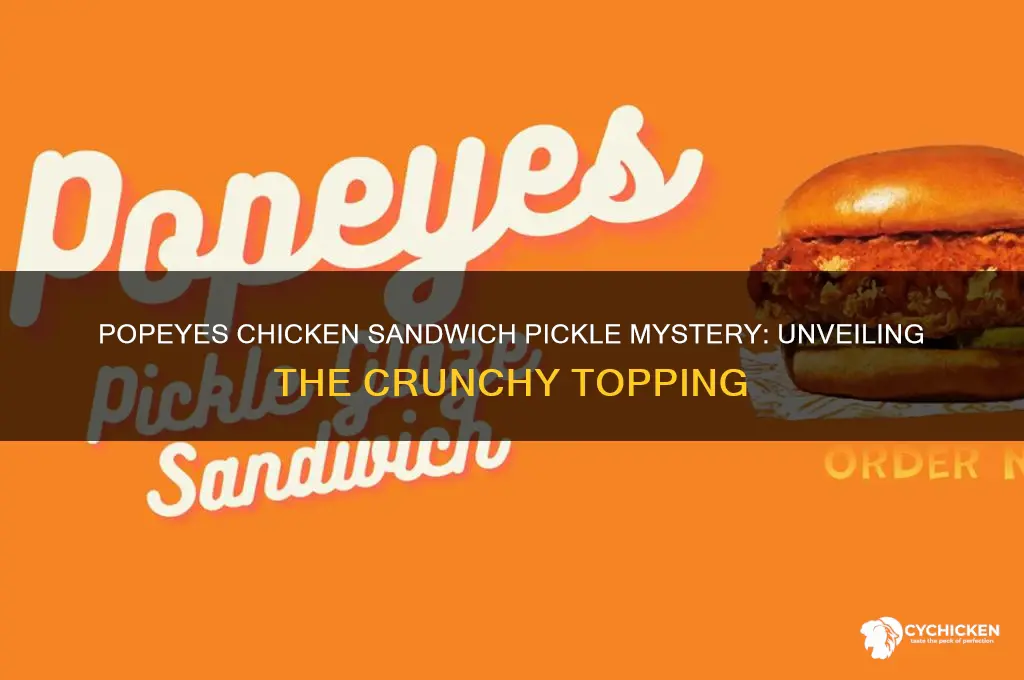 what kind of pickle is on popeyes chicken sandwich