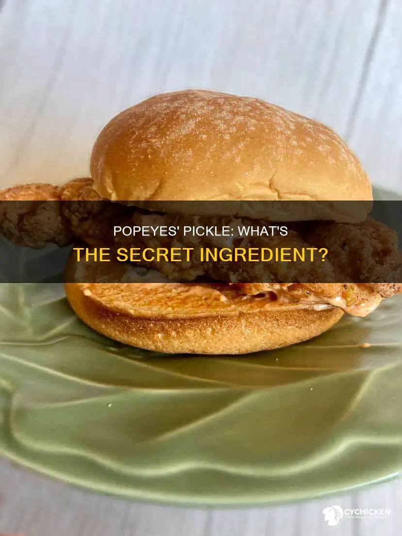 what kind of pickle is on the popeyes chicken sandwhich
