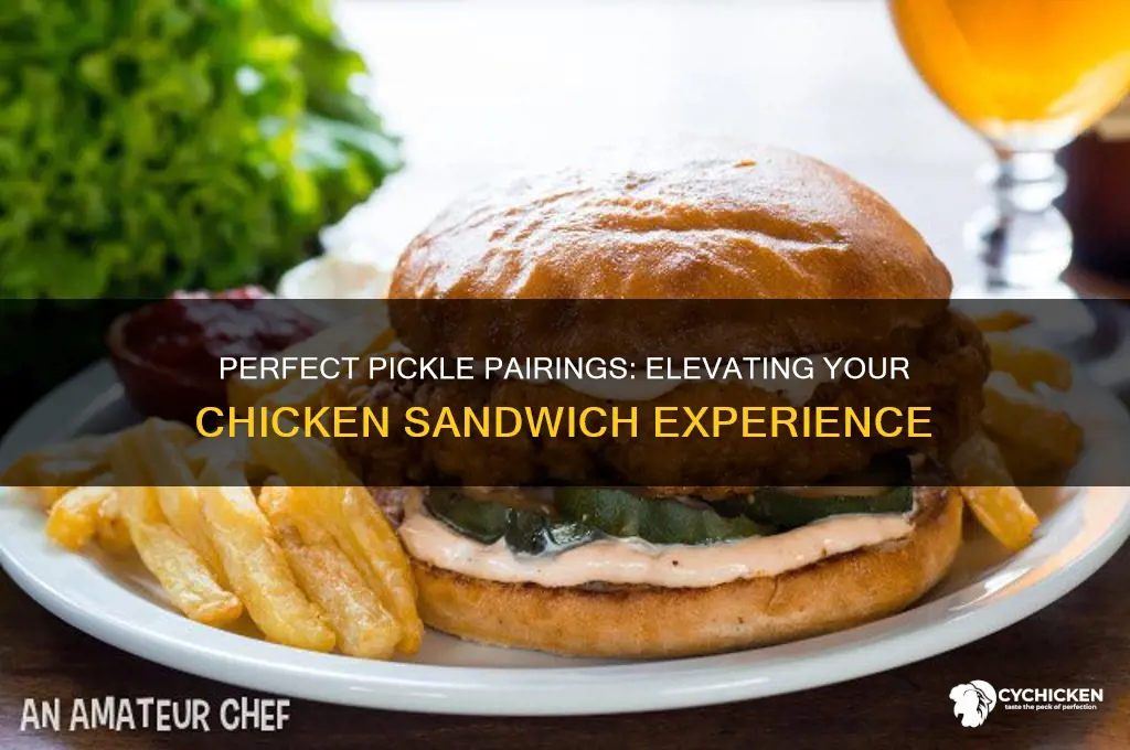 what kind of pickles for chicken sandwich