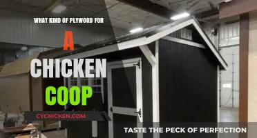 Choosing the Right Plywood for Your Chicken Coop: A Guide