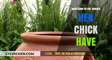Choosing the Perfect Pot for Your Hen and Chicks: A Guide