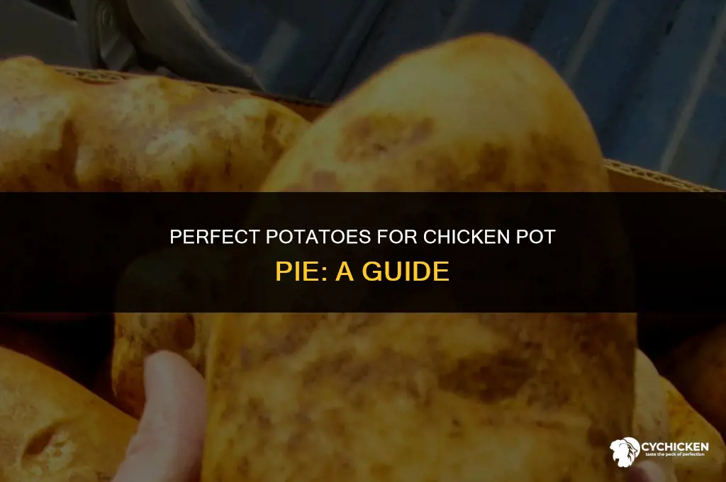 what kind of potatoes for chicken pot pie without