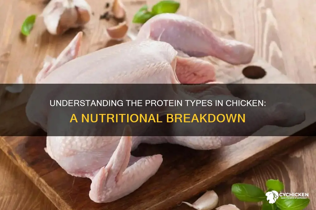 what kind of protein does chicken have