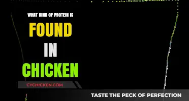 Understanding the High-Quality Protein Types Found in Chicken