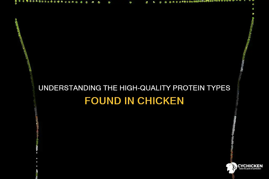 what kind of protein is found in chicken