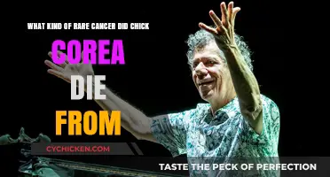 Chick Corea's Rare Cancer: What Happened?